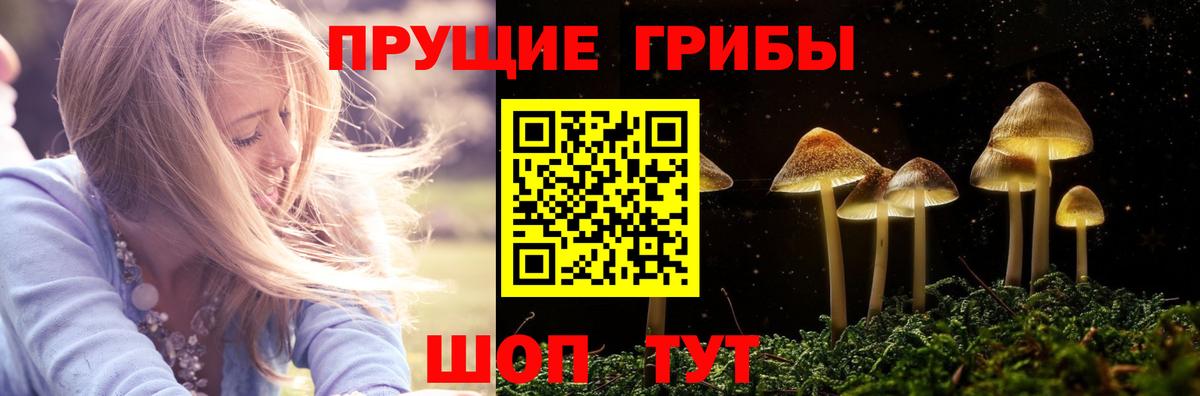 Псилоцибиновые грибы Psilocybine cubensis  Вход с VPN  Новочеркасск 